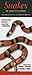 Snakes of South Florida: A Guide to Common & Notable Species (Quick Reference Guides)