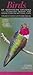 Birds of Northern Arizona i...