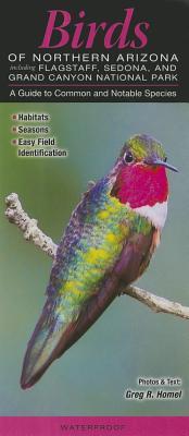 Birds of Northern Arizona including Flagstaff, Sedona, & Grand Canyon National Park: A Guide to Common & Notable Species (Pamphlet)