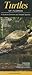 Turtles of Florida: A Guide to Common & Notable Species (Quick Reference Guides)