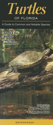 Turtles of Florida: A Guide to Common & Notable Species (Pamphlet)