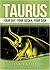 TAURUS by Lisa Lazuli