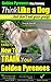 Golden Pyrenees Training | Think Like a Dog, But Don’t Eat Your Poop! |: Here's EXACTLY How To TRAIN Your Golden Pyrenees