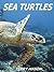 Sea Turtles:Fun Facts & Ama...