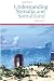 Understanding Somalia and Somaliland: Culture, History, Society (Columbia/Hurst)