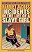 Incidents in the Life of a Slave Girl by Harriet Ann Jacobs Incidents in the Life of a Slave Girl by Harriet Ann Jacobs