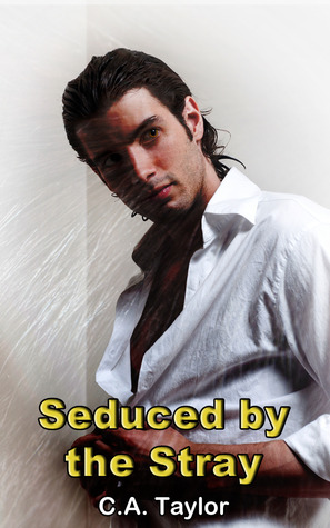 Seduced by the Stray (Kindle Edition)