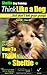 Sheltie Dog Training | Think Like a Dog, But Don’t Eat Your Poop! | Sheltie Breed Expert Training | How To Train Your Sheltie: Here's EXACTLY How To Train ... Shelie Puppy, Shelty Dog and Shelty Pupppy)
