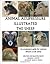 Animal Acupressure Illustrated The Sheep