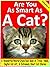 Are You As Smart As A Cat? by Kate Singleton