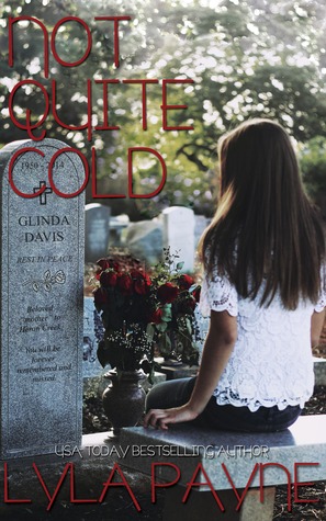 Not Quite Cold (Lowcountry Mysteries, #2)