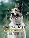 Shelter Dogs: Ama...