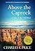 Above the Caprock