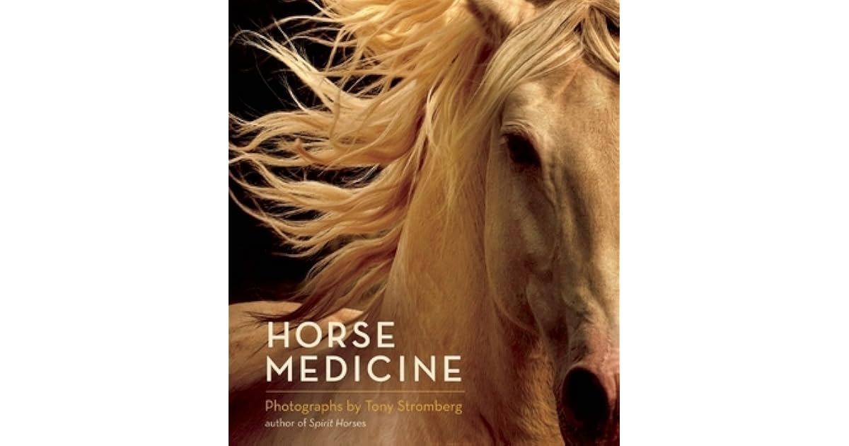 Horse Medicine by Tony Stromberg
