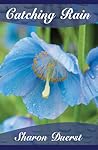 Catching Rain