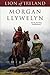 Lion of Ireland by Morgan Llywelyn