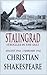 Stalingrad: Struggle in the...