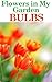 Flowers in My Garden - Bulbs