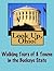 Look Up, Ohio! Walking Tours of 8 Towns In The Buckeye State (Look Up, America! Series)