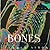 Bones: Our Skeletal System