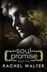 Soul Promise by Rachel Walter
