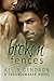 Broken Fences (TroubleMaker, #1)