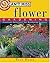 Can't Miss Flower Gardening: Practical Solutions for Gardening Success