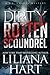 Dirty Rotten Scoundrel (J.J. Graves Mystery #3)