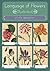Language of Flowers (illustrated)