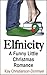 ELFNICITY: A FUNNY LITTLE CHRISTMAS ROMANCE