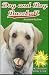 Dog and Boy Baseball