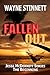 Fallen Out (Jesse McDermitt...