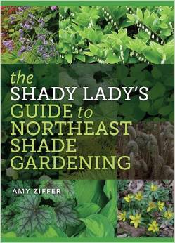 The Shady Lady’s Guide to Northeast Shade Gardening (Paperback)