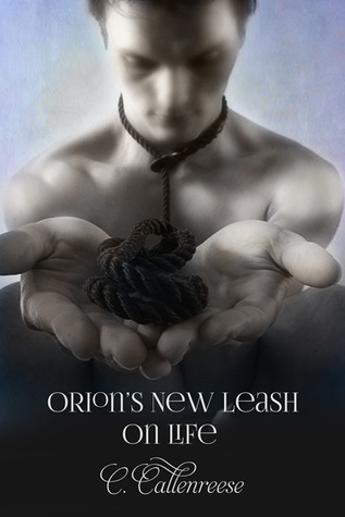 Orion's New Leash on Life (Kindle Edition)