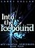 Into the Icebound (Accident...
