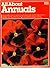 All about Annuals