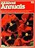 All about Annuals