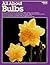 All About Bulbs