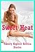 Sweet Heat: Twenty Explicit Erotica Stories