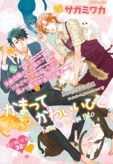 かまってかわいいひと [Kamatte Kawaii Hito]