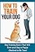 How to Train Your Dog: Dog training basics that will have your dog or puppy obedient in no time!
