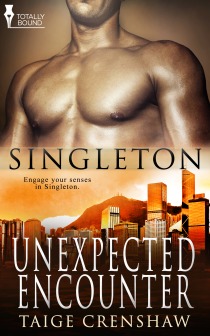 Unexpected Encounter (Singleton #4)