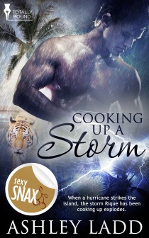 Cooking Up a Storm (Kindle Edition)