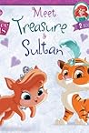 Palace Pets: Meet Treasure and Sultan: 2 Books in 1! (Disney Storybook (eBook))