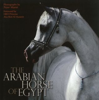 The Arabian Horse of Egypt (Hardcover)