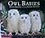 Owl Babies