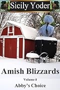 Amish Blizzards: Volume Eight: Abby's Choice