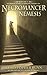 Necromancer Nemesis (The Infinite Wheel of Endless Chronicles #1)