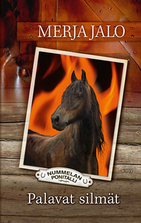 Palavat silmät (Hardcover)