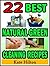 22 Best Natural Green Clean...